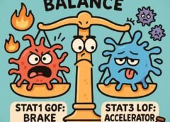🧠 STAT1 Gain-of-Function vs. STAT3 Loss-of-Function: Understanding Opposite Immune Dysregulation