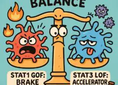 🧠 STAT1 Gain-of-Function vs. STAT3 Loss-of-Function: Understanding Opposite Immune Dysregulation